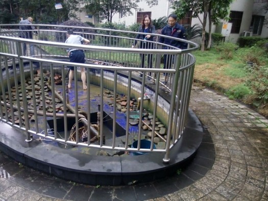 花园清理